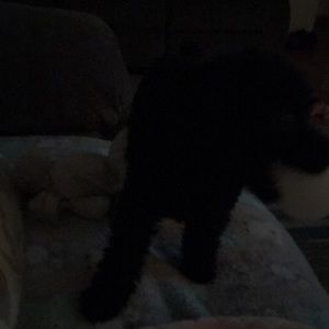 Meet your Posher, Kay